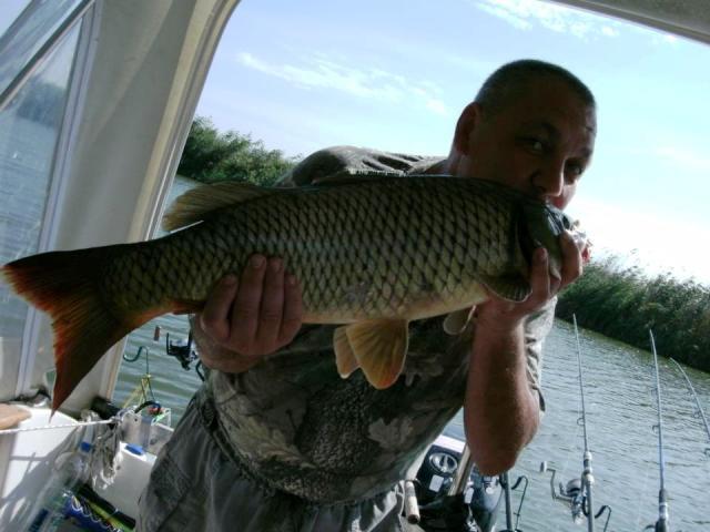 delta rosu 2012 - 26636.jpg